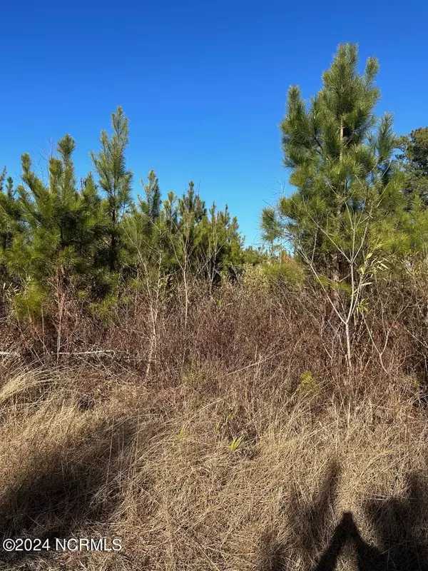 Robersonville, NC 27871,0 Lloyd Corey RD