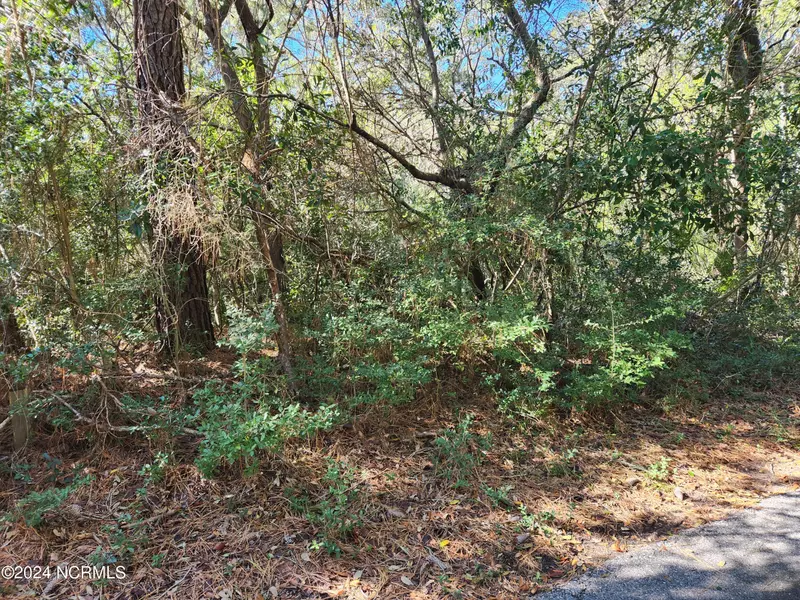 52 Fort Holmes TRL, Bald Head Island, NC 28461