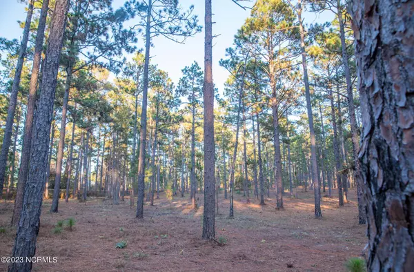 Southern Pines, NC 28387,345 N Ft. Bragg RD