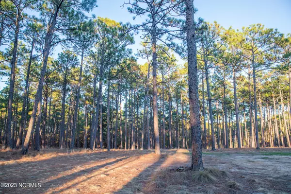 Southern Pines, NC 28387,130 Pixie Moss