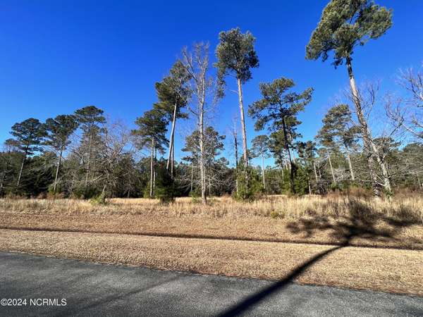 Lot 63 Bailey Pointe, Belhaven, NC 27810