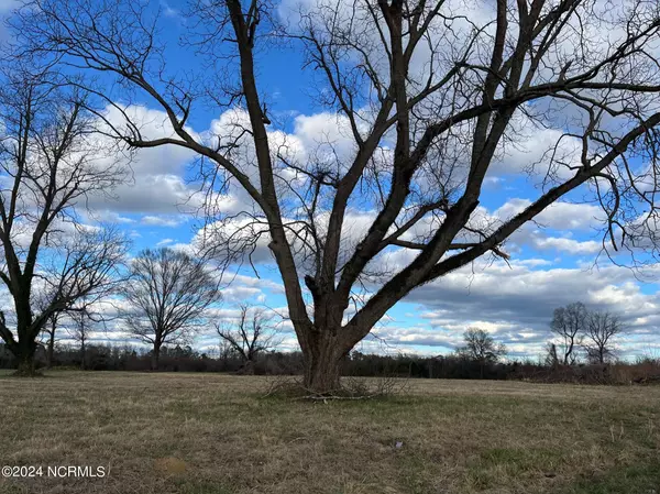 Whiteville, NC 28472,1500 Old Lumberton Road