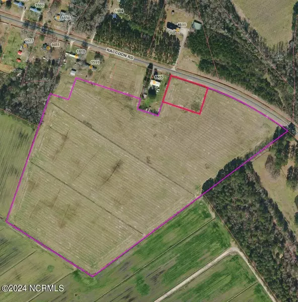 30ac Raccoon RD, Willard, NC 28478