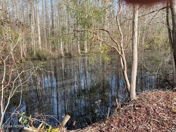 Lake Waccamaw, NC 28450,27 Big Creek CIR