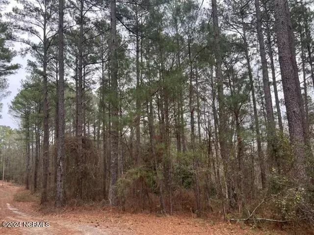 Hamlet, NC 28345,Tbd Tarheel DR