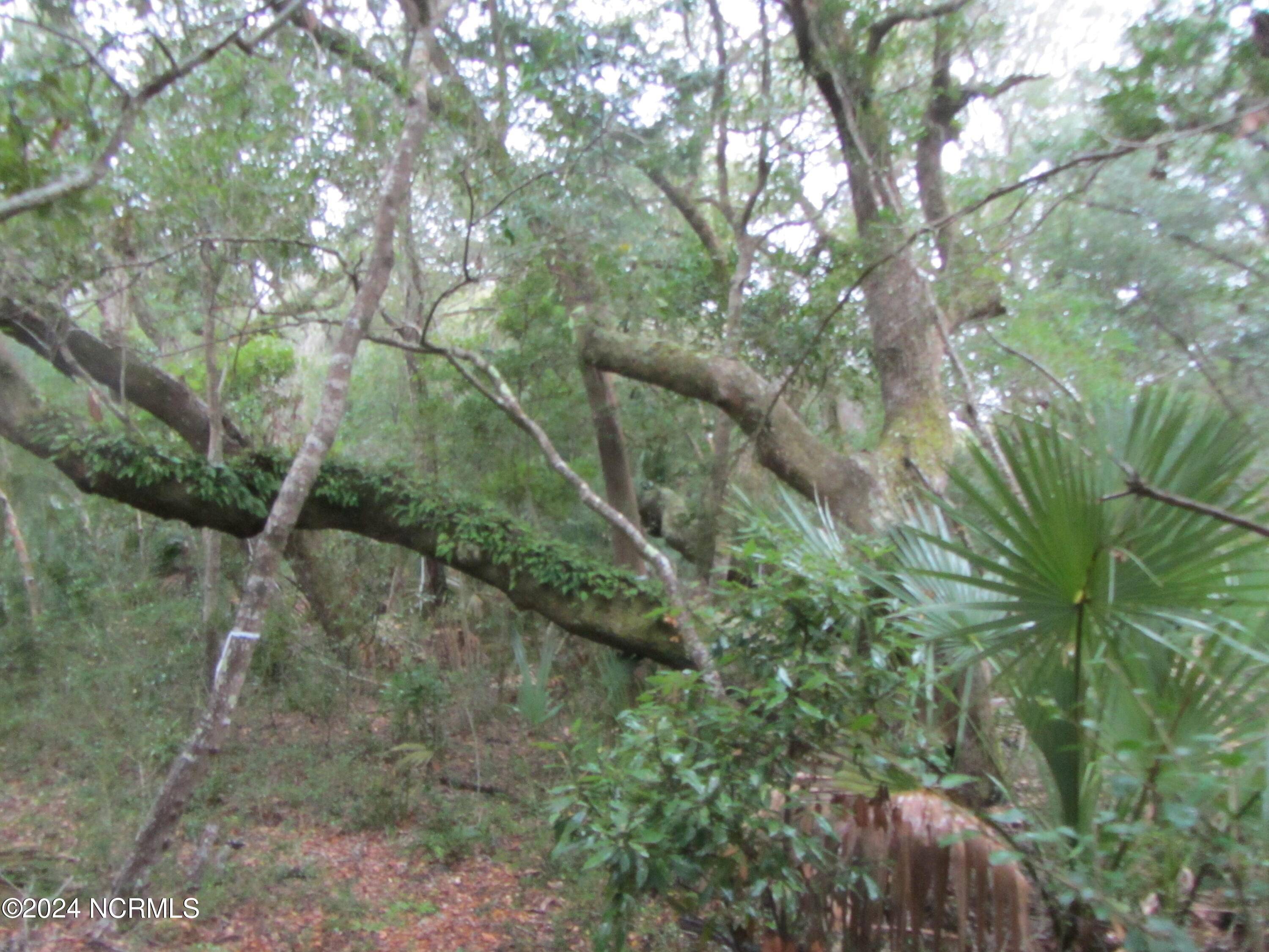 8 Leopard Frog CT, Bald Head Island, NC 28461