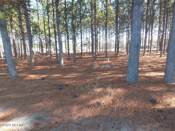 La Grange, NC 28551,1082 Louie Pollock RD