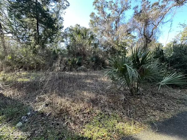 Bald Head Island, NC 28461,6 Spanish Needles CT