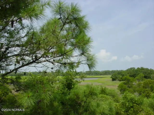 Bald Head Island, NC 28461,2 Towhee CT