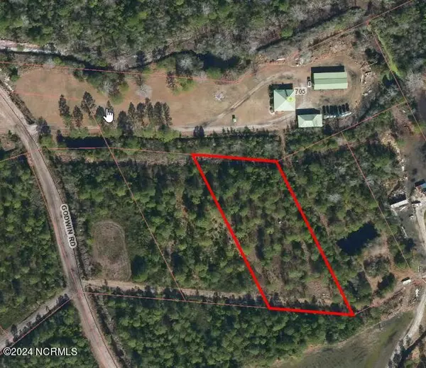 Maple Hill, NC 28454,1300 Godwin RD