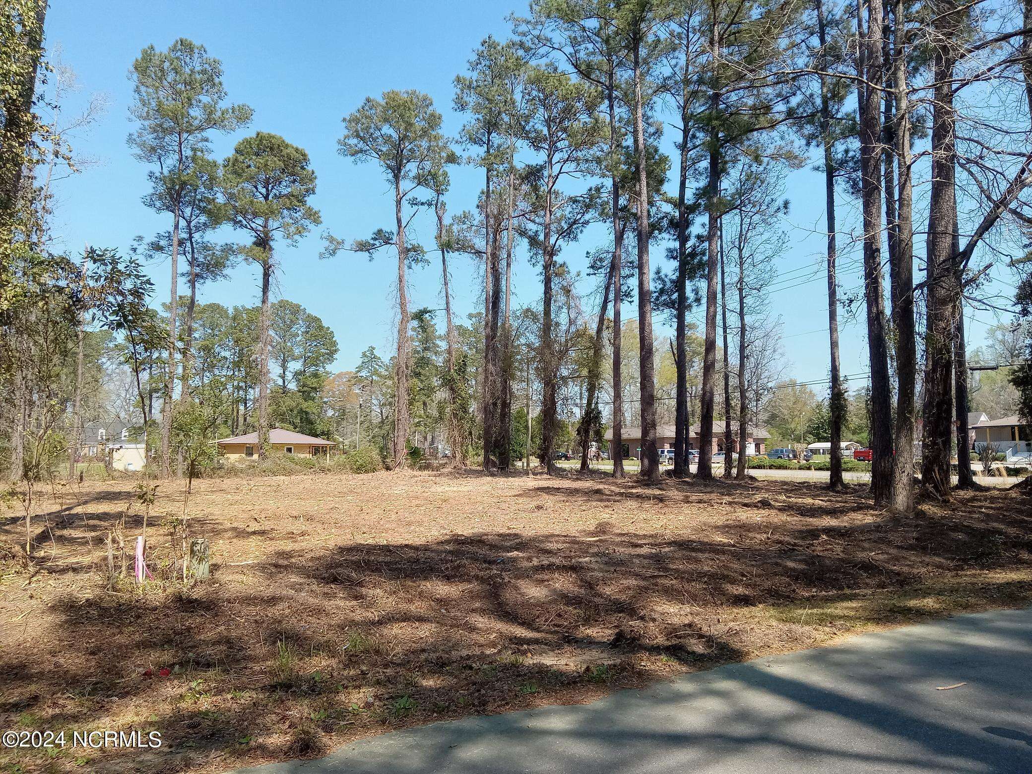 525 Vineland ST,  Whiteville,  NC 28472
