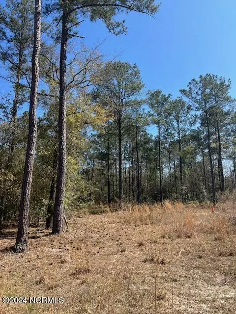 6686 Mossey Run DR NE,  Leland,  NC 28451