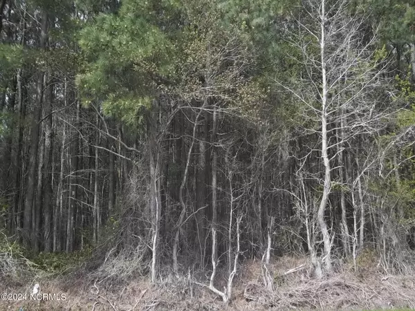 Tbd Griffin Swamp RD, Elizabeth City, NC 27909
