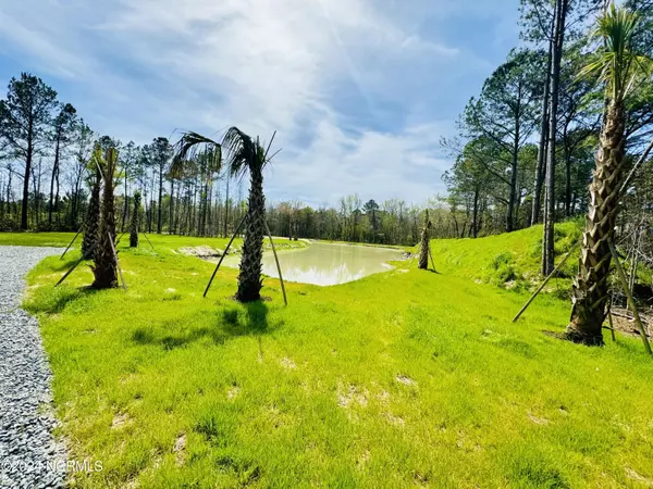 Maple Hill, NC 28454,+/-18 Acre Hardy Graham RD