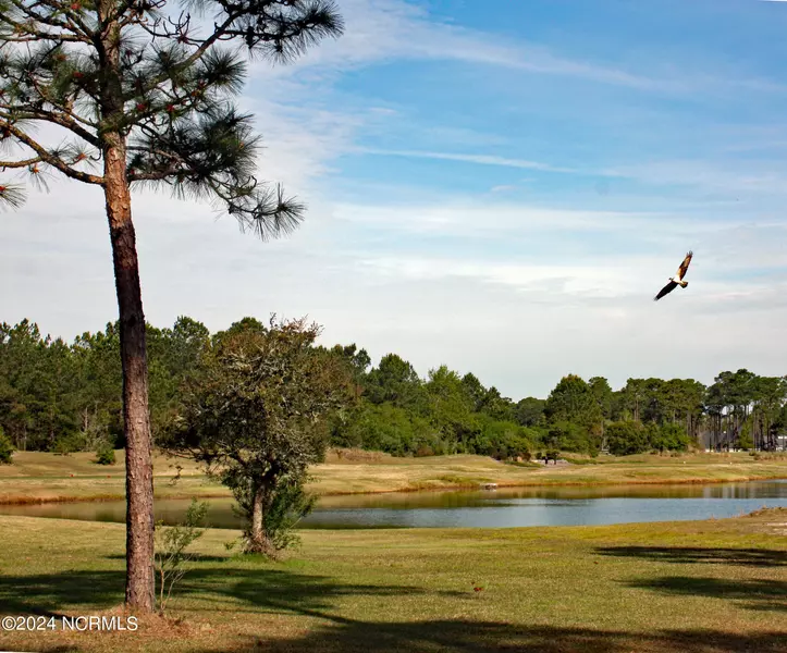 609 Barrington PL SW, Ocean Isle Beach, NC 28469