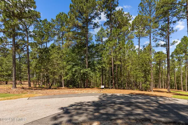 Jackson Springs, NC 27281,190 Vista RDG W