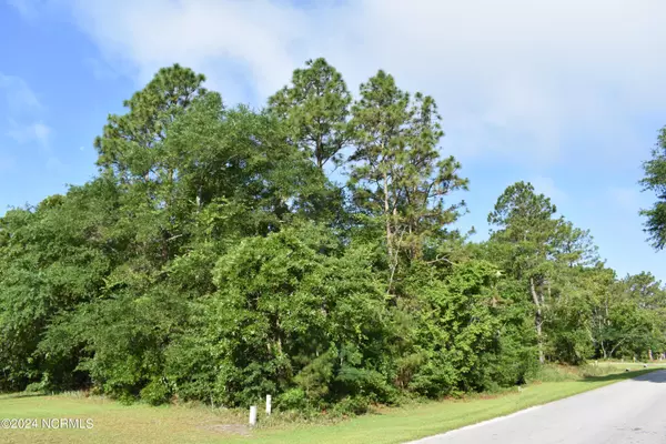 Lot 15 Phillips DR, Minnesott Beach, NC 28510