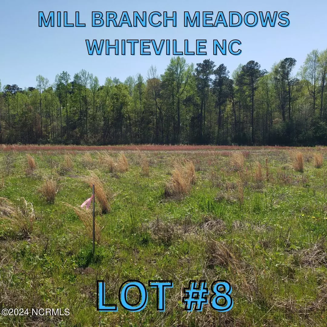 Whiteville, NC 28472,97 Mill Branch DR