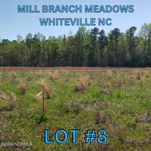 97 Mill Branch DR, Whiteville, NC 28472