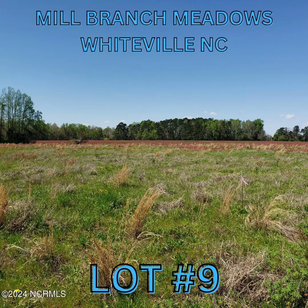 Whiteville, NC 28472,96 Mill Branch DR