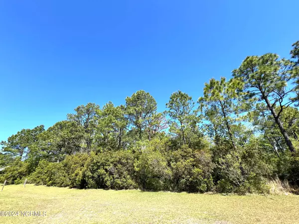 Sneads Ferry, NC 28460,116 Dunn RD