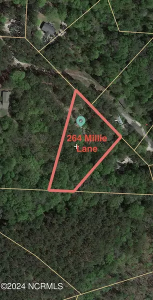 264 Millie LN, West End, NC 27376