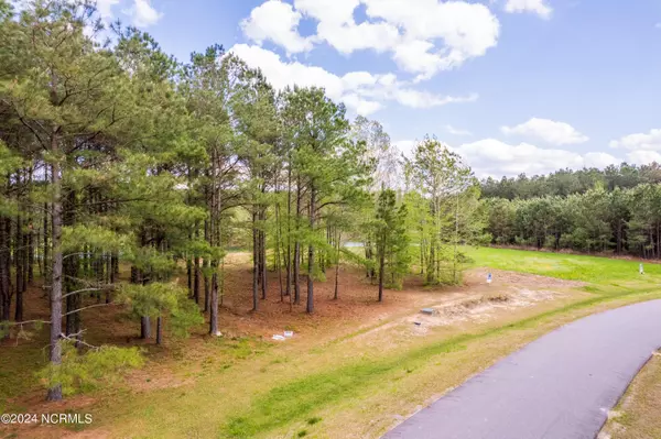 Edenton, NC 27932,140 Colleton Circle Lot 173