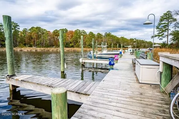 Minnesott Beach, NC 28510,69 Wild Cherry LN