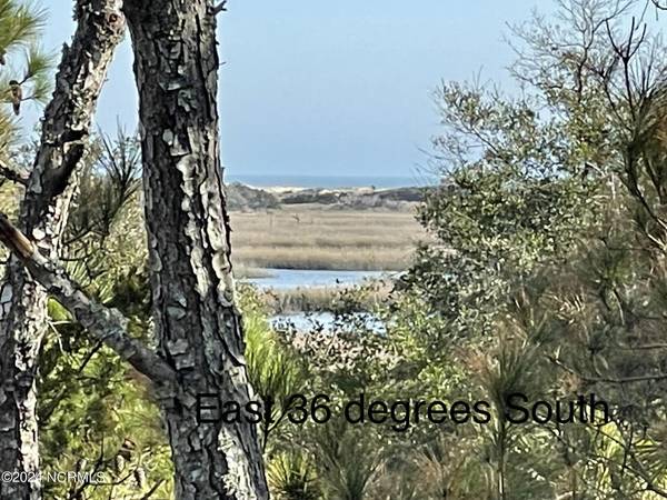 Bald Head Island, NC 28461,29 Dogwood Ridge RD