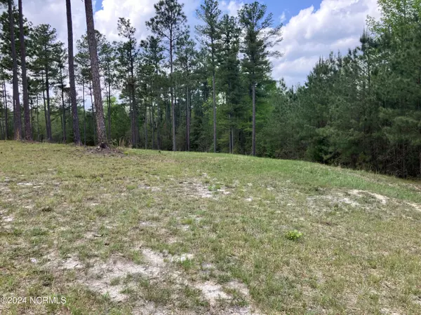 Jackson Springs, NC 27281,Lot 28 Tufts VIS