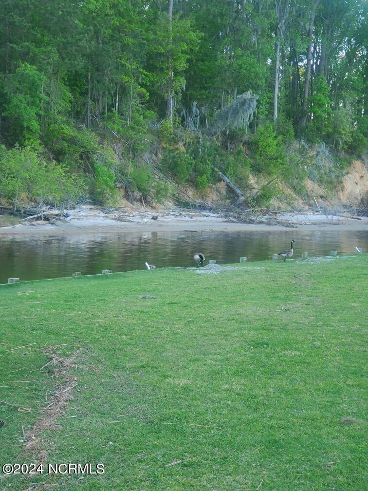 Blounts Creek, NC 27814,Lot 1 Maple LN