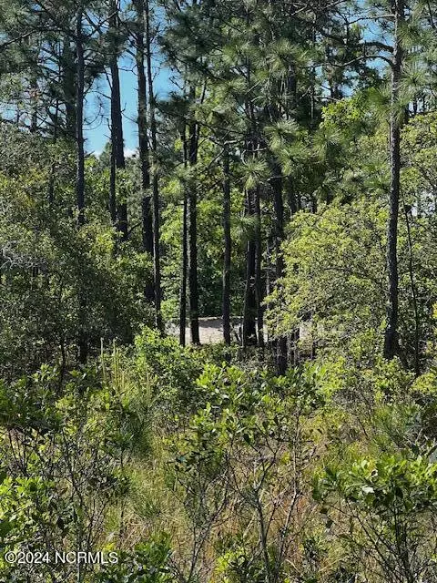 Boiling Spring Lakes, NC 28461,Lot 81 Trevino RD