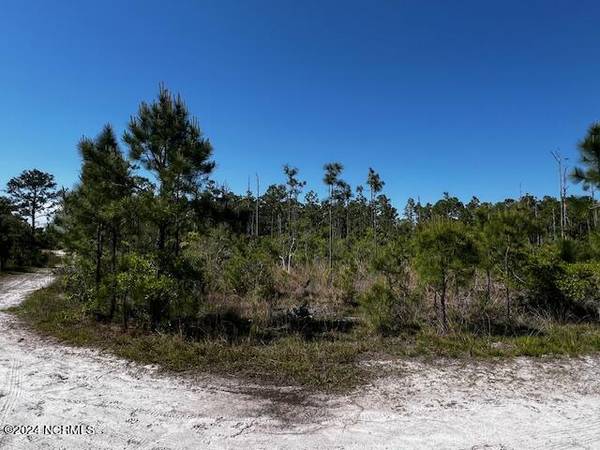 Lot 81 Trevino RD, Boiling Spring Lakes, NC 28461