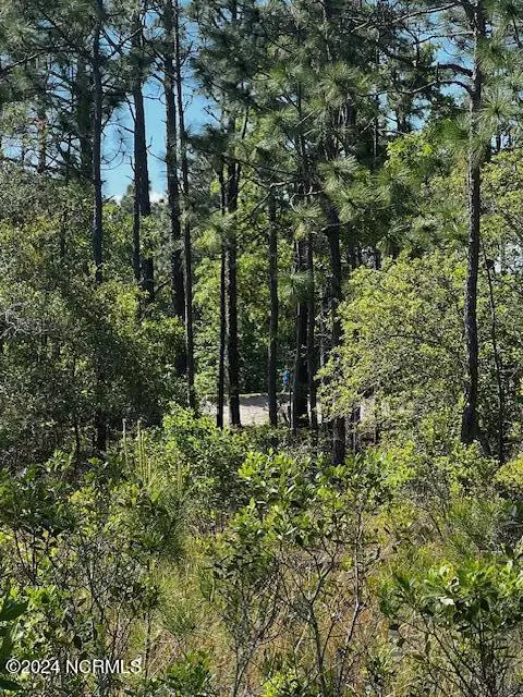 Boiling Spring Lakes, NC 28461,Lot 81 Trevino RD