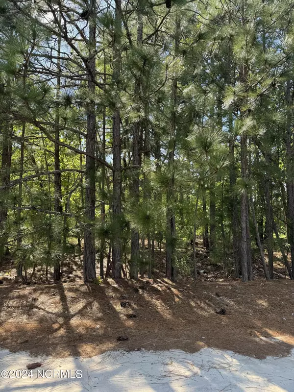 Hamlet, NC 28345,Tbd Meadow Lane