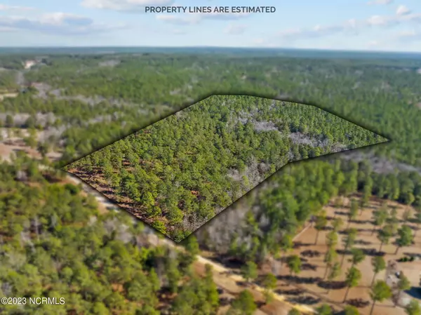 Lot 19 Reynwood CT,  Jackson Springs,  NC 27281