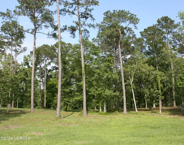 Ocean Isle Beach, NC 28469,48 Ocean Ridge Pkwy SW