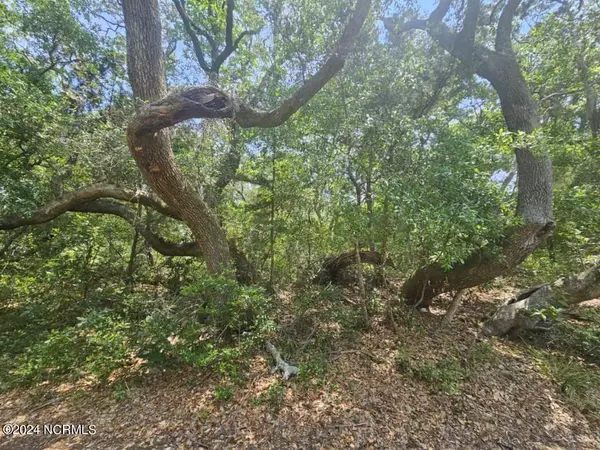 Bald Head Island, NC 28461,8 Elephants Foot Trail