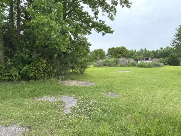 Willard, NC 28478,765 Sills Creek RD
