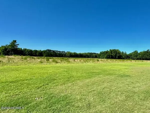 146 Cherry ST, Cerro Gordo, NC 28430