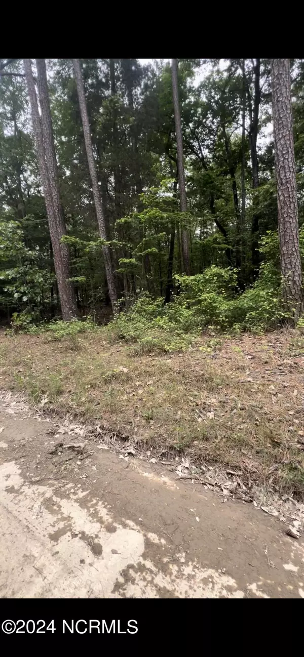 Lot 24 Cedar Ln DR, Eagle Springs, NC 27242