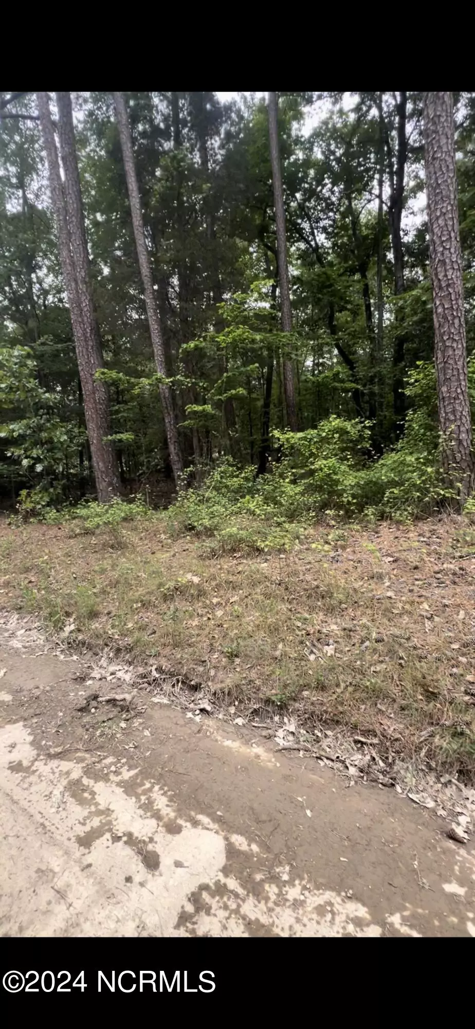 Eagle Springs, NC 27242,Lot 23 Cedar LN