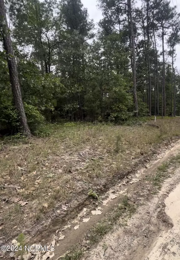 Eagle Springs, NC 27242,Lot 23 Cedar LN