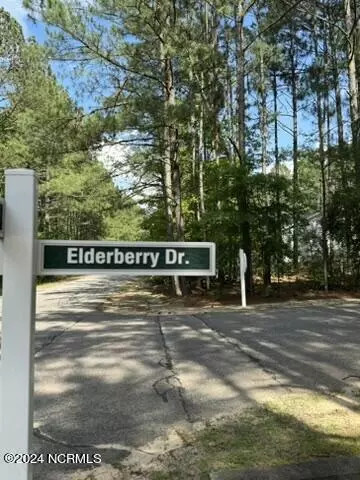 705 Elderberry DR, Vass, NC 28394