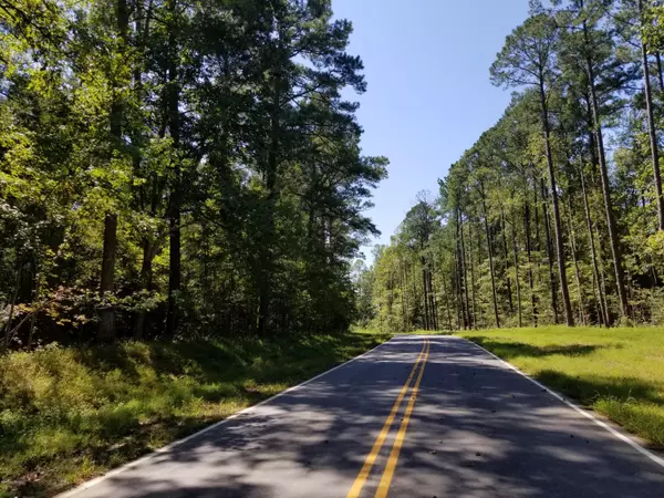 New Bern, NC 28562,2017 Sharpnose ST