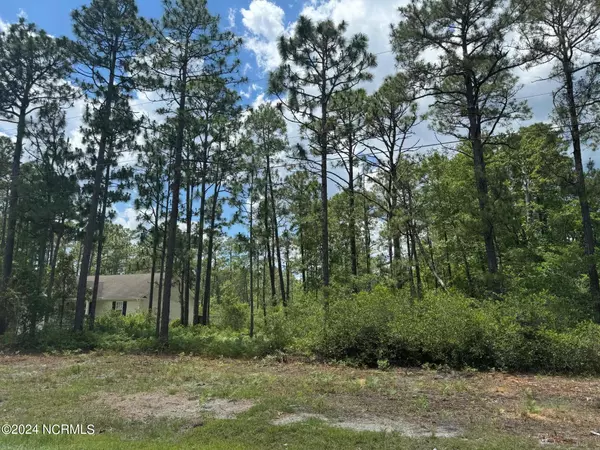 Southport, NC 28461,Lot 4 Maple RD