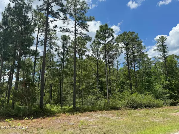 Lot 4 Maple RD, Southport, NC 28461