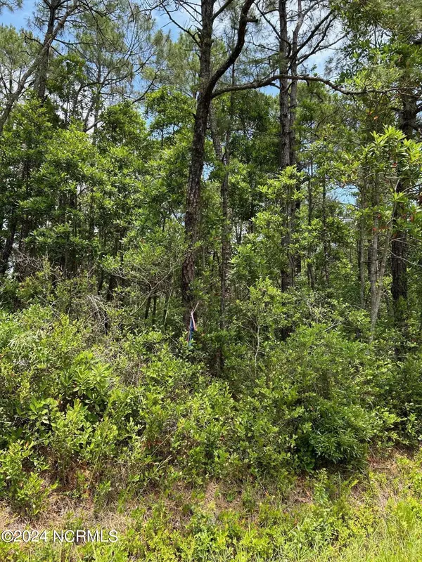 Southport, NC 28461,1695 Beech RD