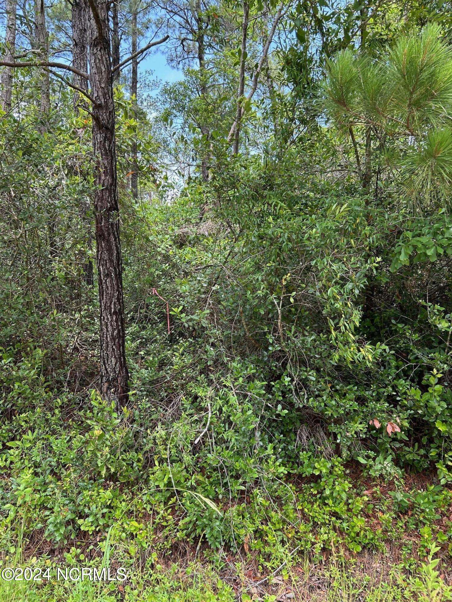 Southport, NC 28461,1695 Beech RD