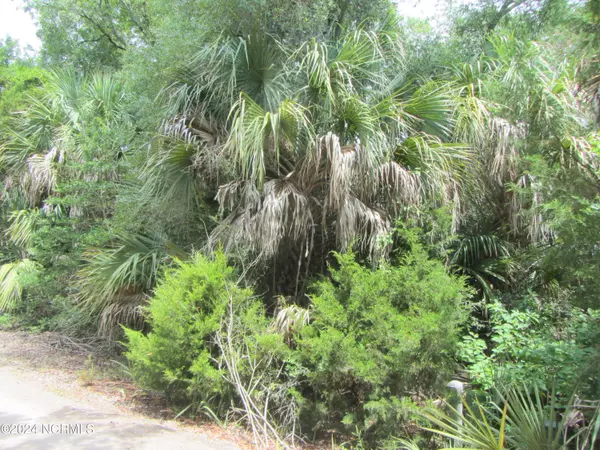 Bald Head Island, NC 28461,52 Cape Creek RD